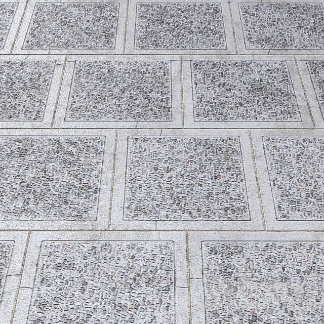 pavingexposed 3D Model pavingexposed 3D Model