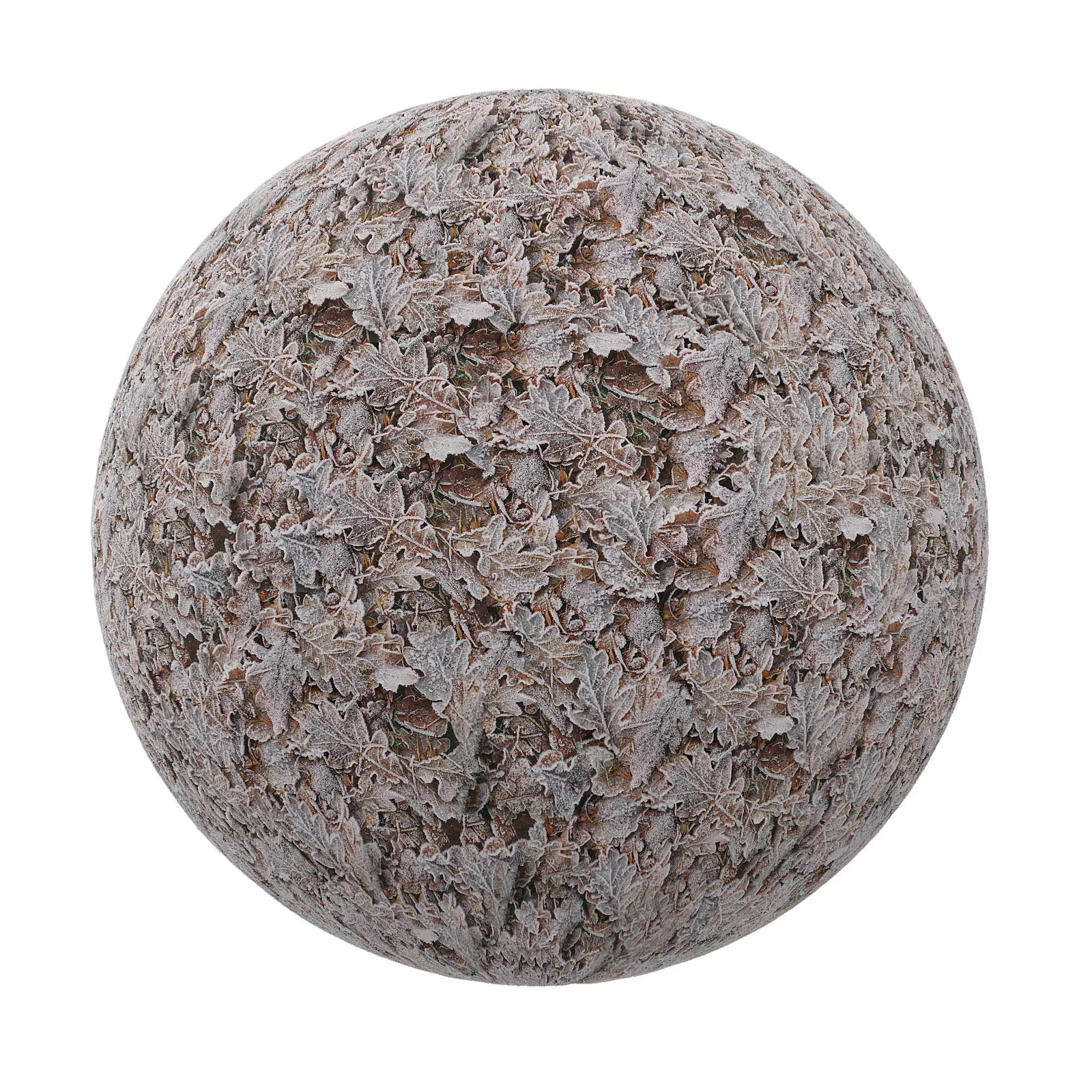 PBR CGAXIS TEXTURES – SNOW – Frozen Dry Leaves PBR CGAXIS TEXTURES – SNOW – Frozen Dry Leaves