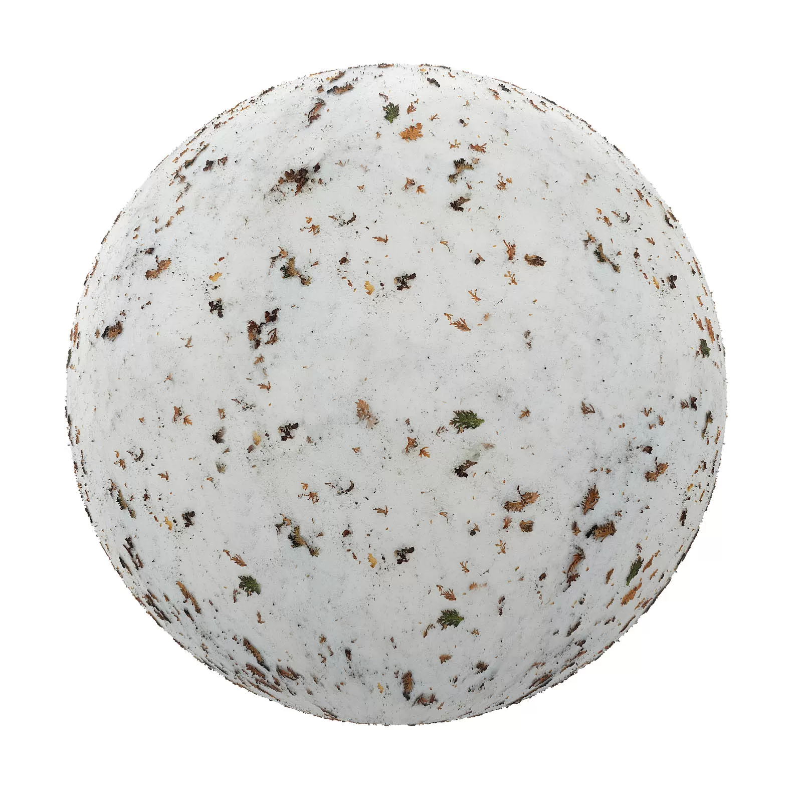 PBR CGAXIS TEXTURES – SNOW – Snow With Dry Leaves 3