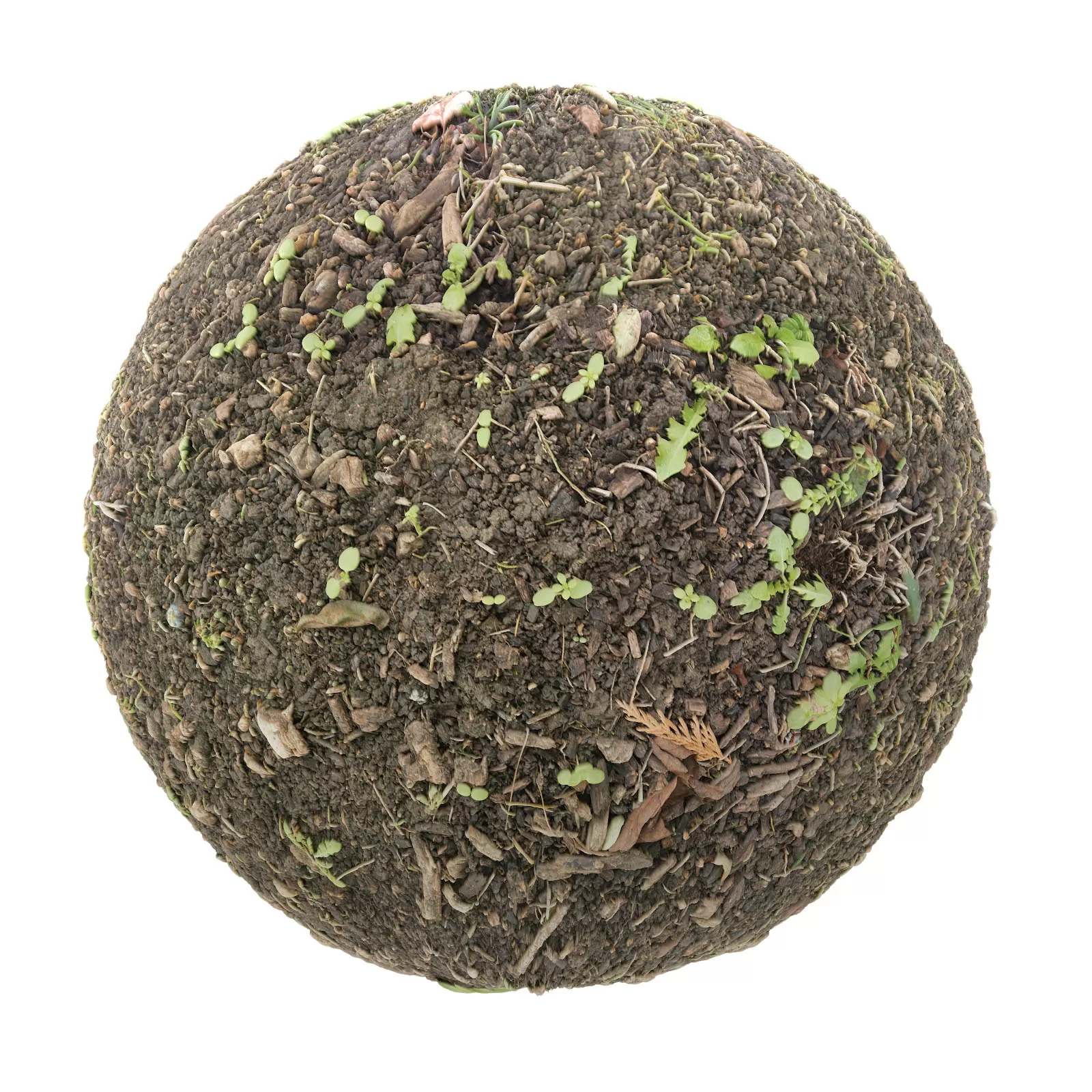 PBR CGAXIS TEXTURES – SOIL – Dirt With Plants And Sticks