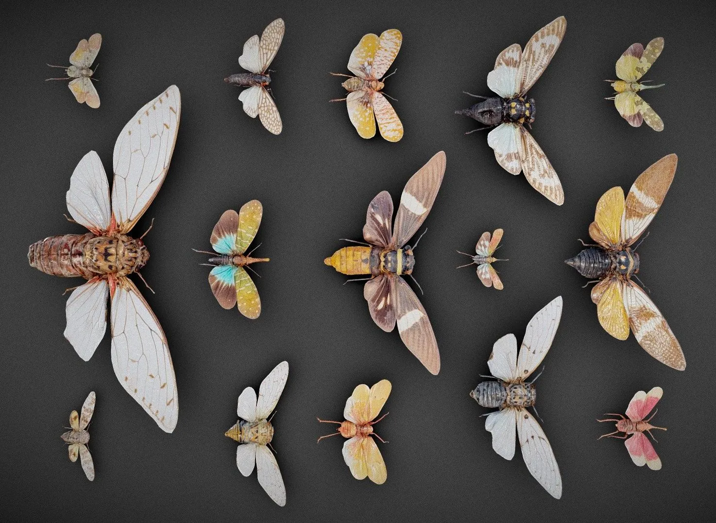 PBR Game 3D Models – 15 Cicadas Collection