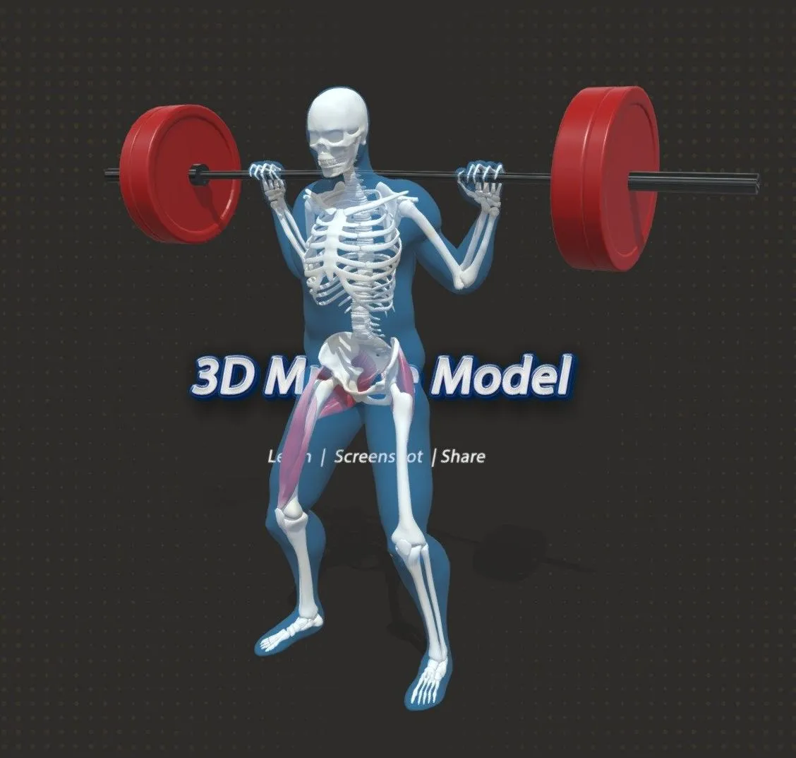 PBR Game 3D Models – 1Barbell Back Squat Ar Ready