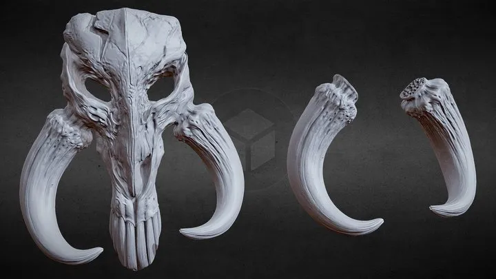 PBR Game 3D Models – 3D PRNTBL MYTHOSAUR SKULL AND HORNS   STAR WARS