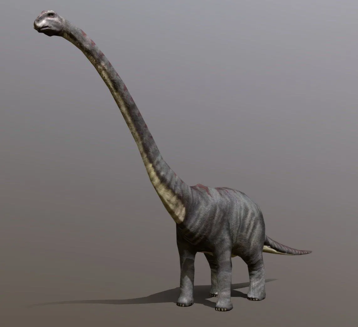 PBR Game 3D Models – 3Drt Dinosaurs Sauropod