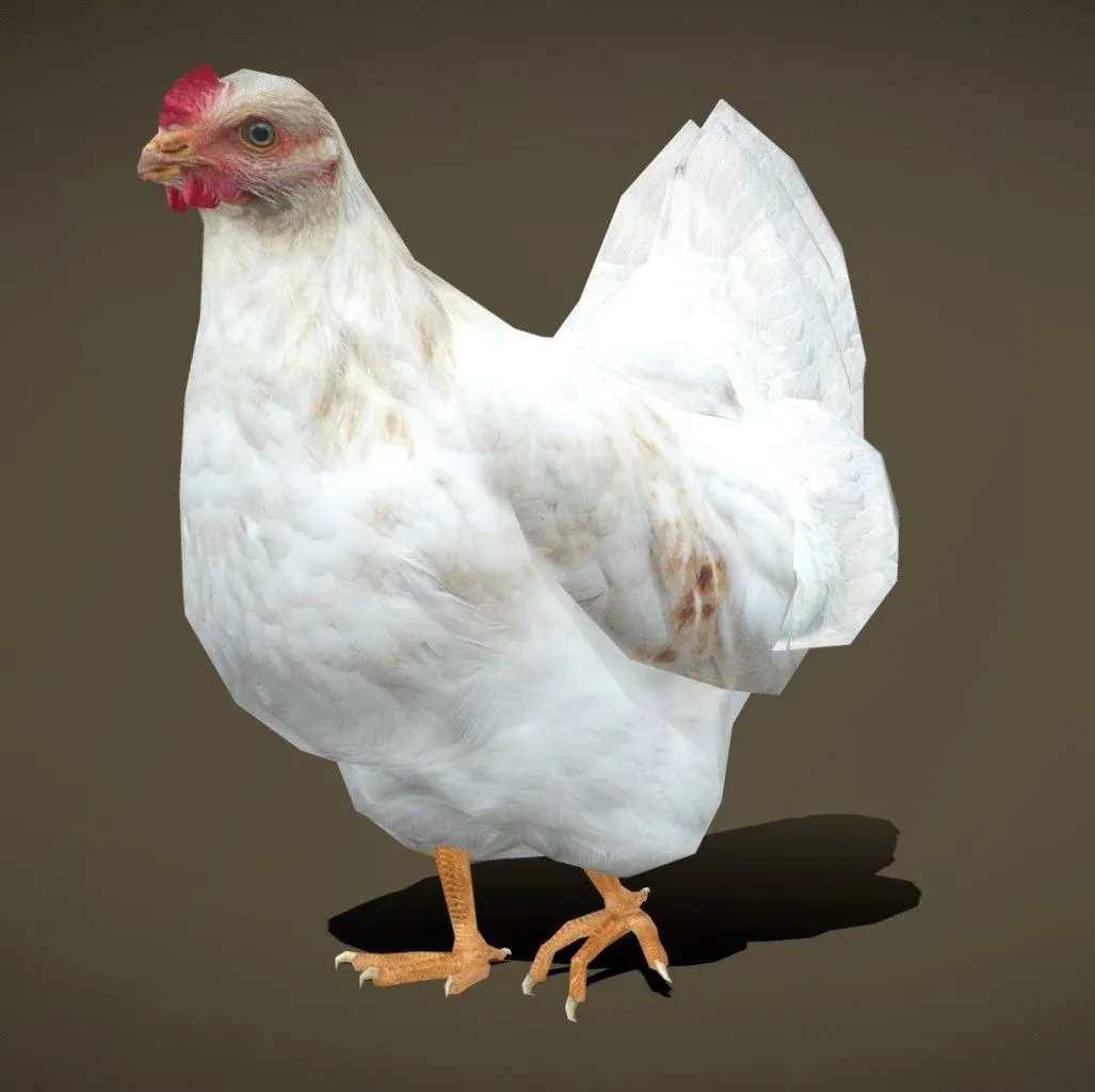 PBR Game 3D Models – 3Drt Domestic Animals Chiken