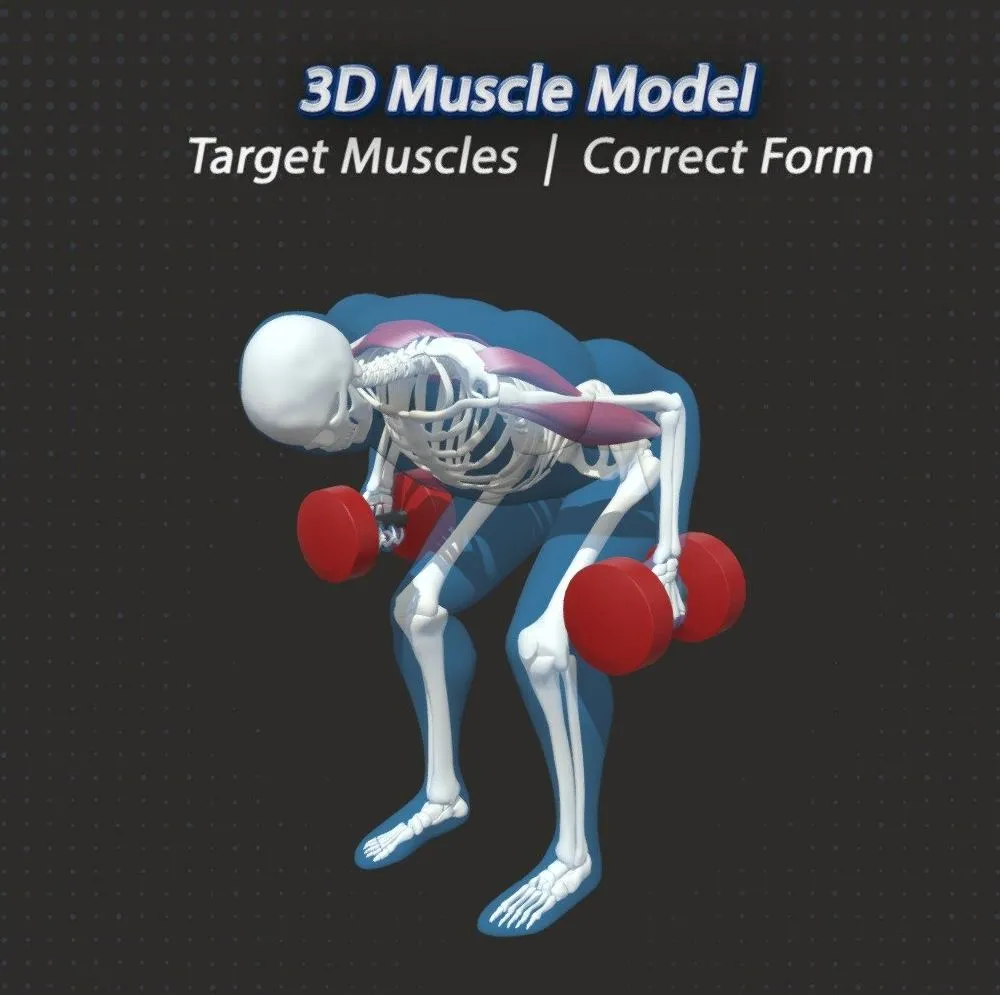 PBR Game 3D Models – 49 Dumbbell Rows