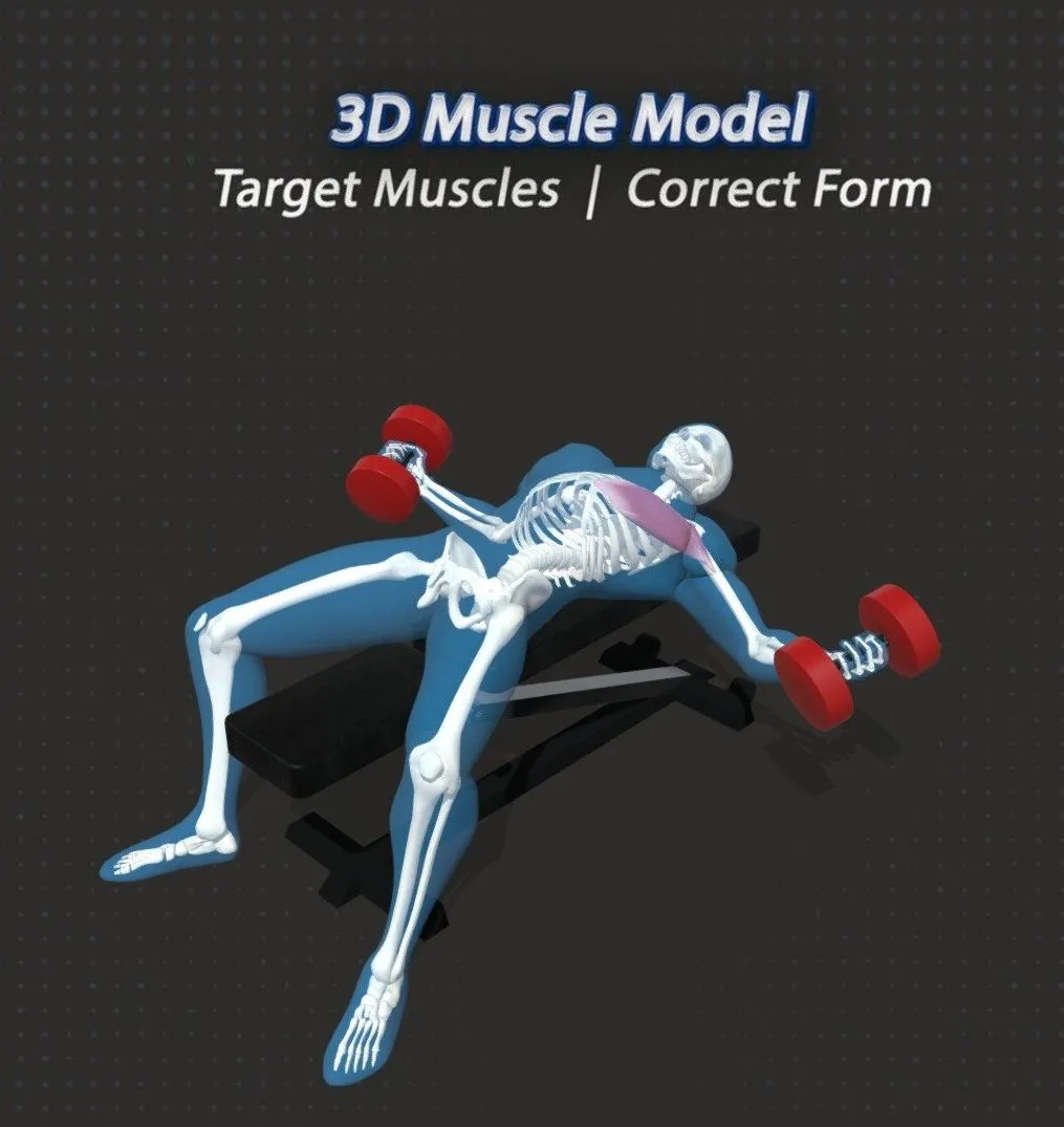 PBR Game 3D Models – 62 Dumbbell Flys