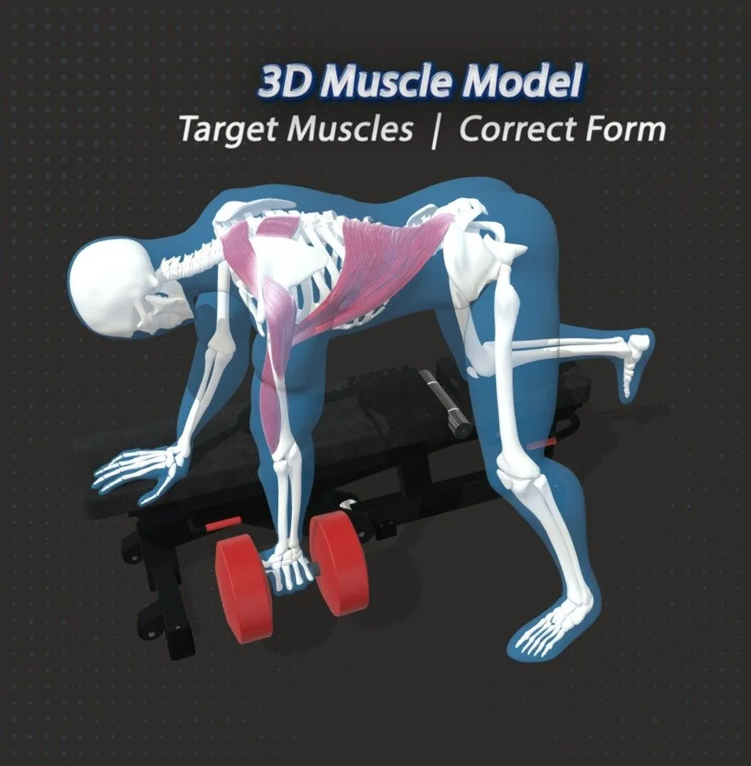 PBR Game 3D Models – 63 The Single Arm Row Sar