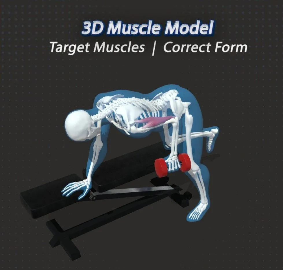 PBR Game 3D Models – 63 Tricep Kickbacks Dumbbell
