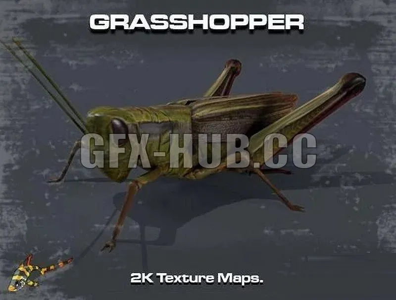 PBR Game 3D Models – 999g f x – h u b @ co Grasshopper