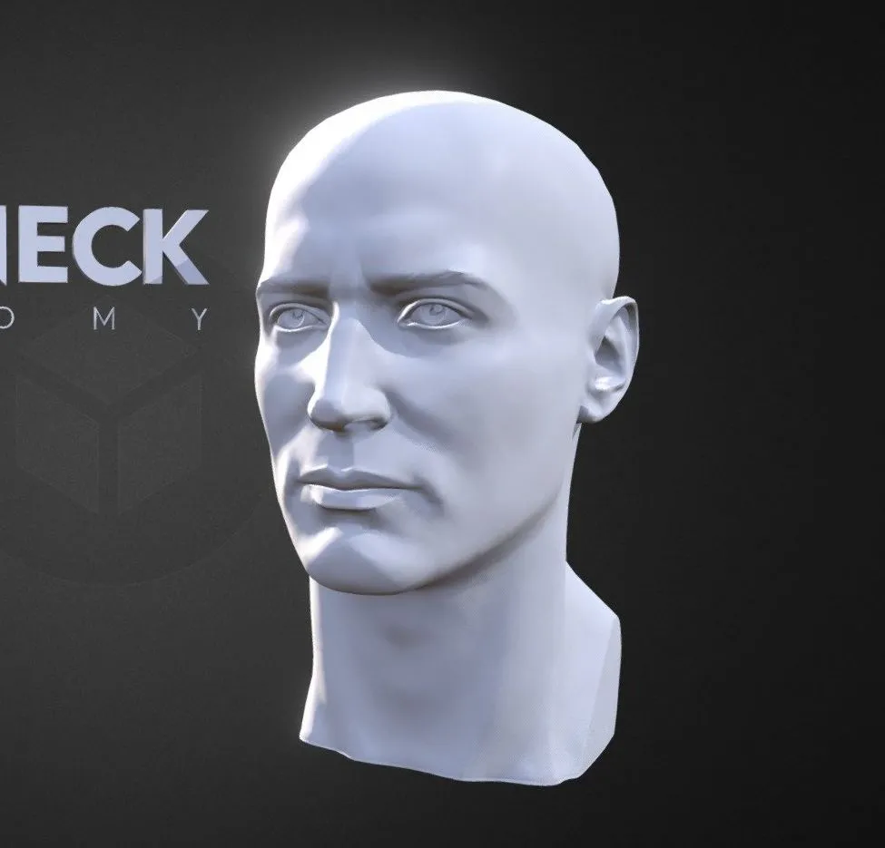 PBR Game 3D Models – A4s Head Neck Anatomy