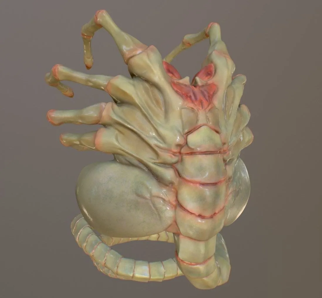 PBR Game 3D Models – Alien Facehugger Fanart Wip