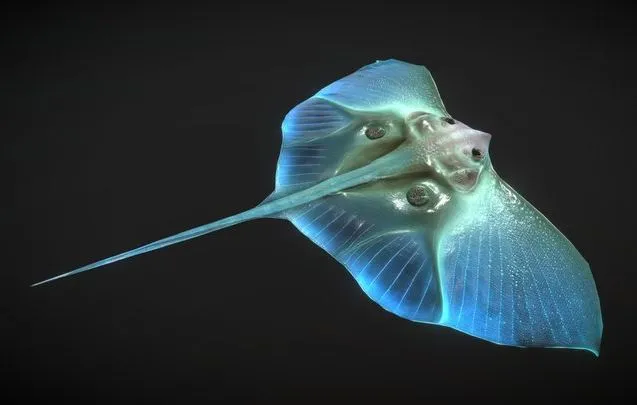 PBR Game 3D Models – Alien Fantasy Fish   Jelly Ray   Stingray