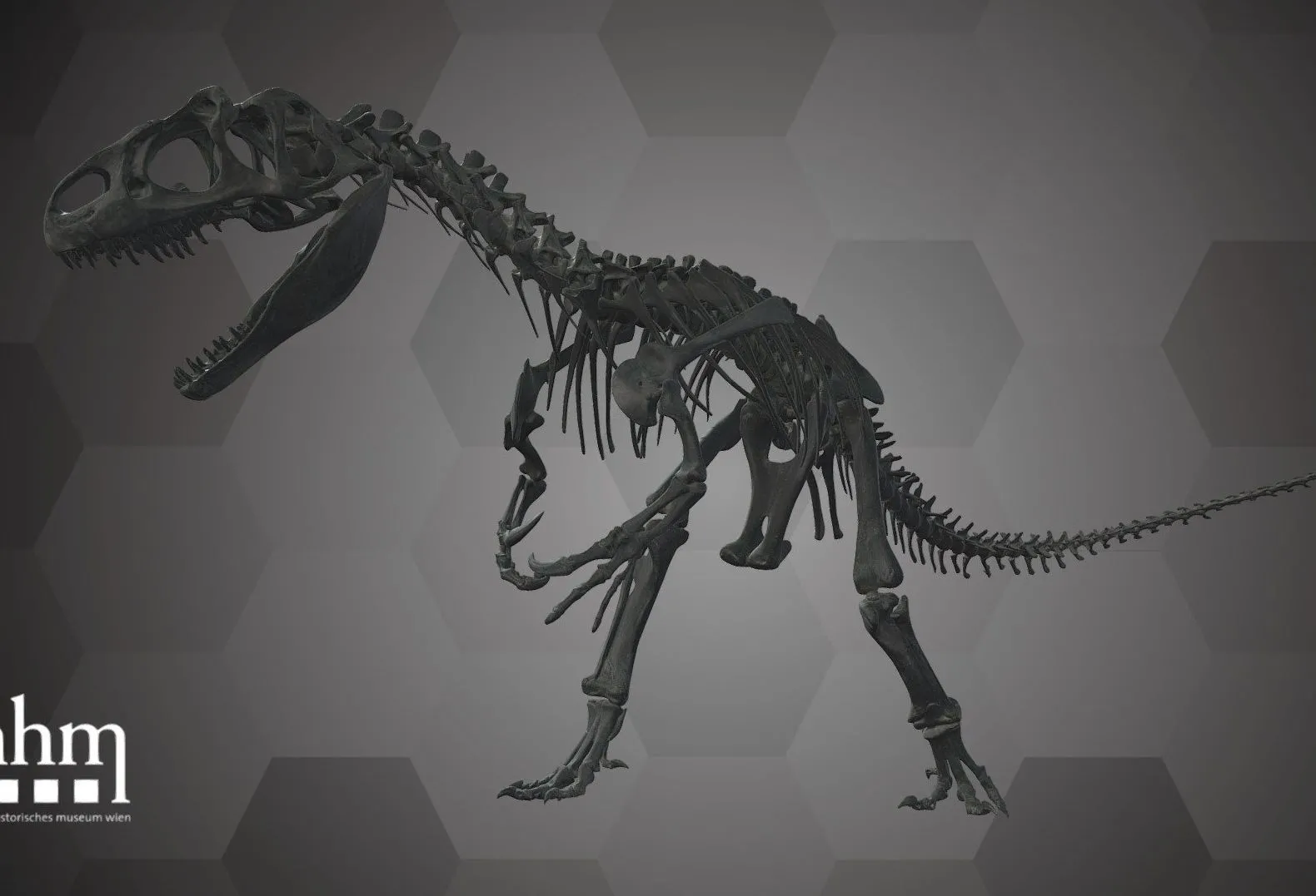 PBR Game 3D Models – Allosaurus Fragilis Nhmw Geo 198400360000