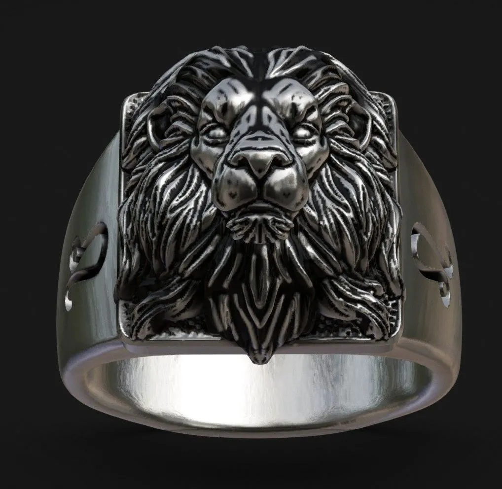 PBR Game 3D Models – Anel Leao Prata