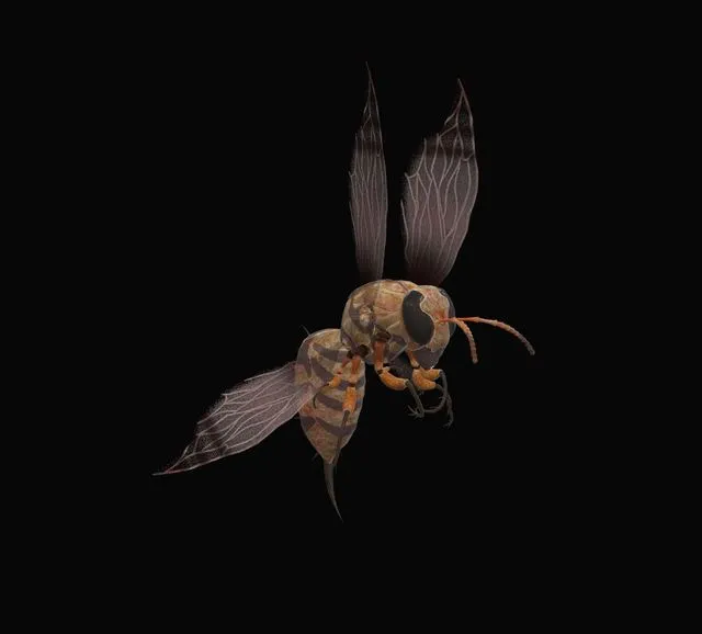 PBR Game 3D Models – Animated bee