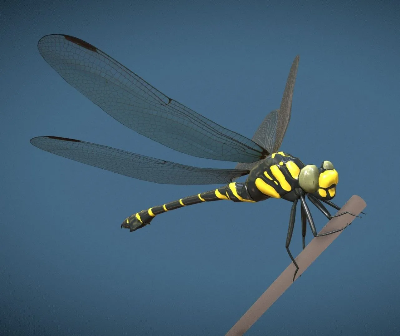 PBR Game 3D Models – Animated dragonfly