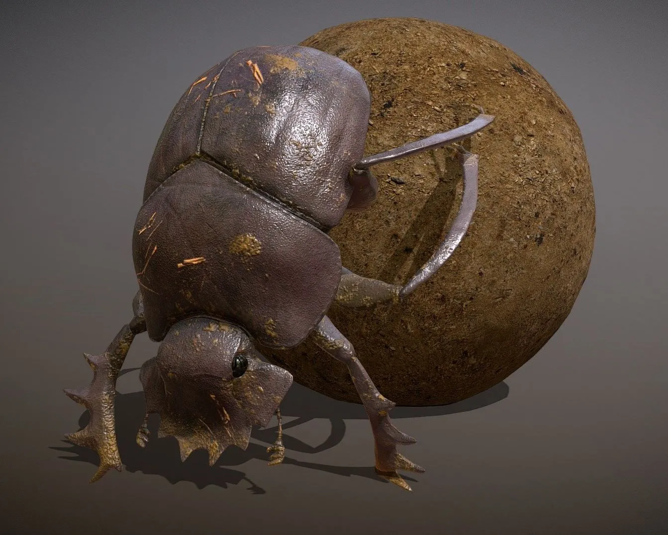 PBR Game 3D Models – Animated Dung beetle
