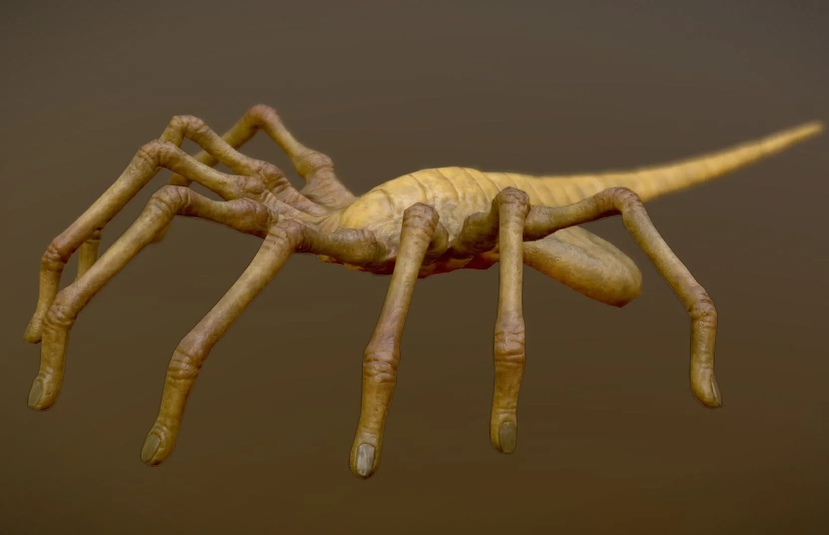 PBR Game 3D Models – Animated Facehugger