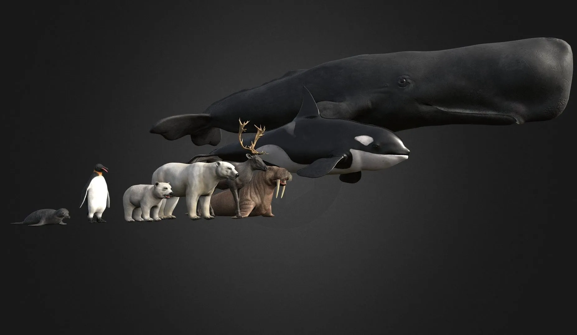 PBR Game 3D Models – Arctic Animal Pack