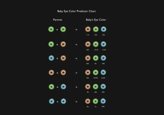 PBR Game 3D Models – Baby Eye Color Predictor Chart