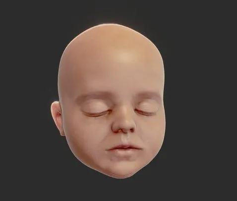 PBR Game 3D Models – Baby Head