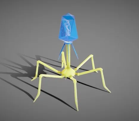 PBR Game 3D Models – Bacteriophage Anatomy