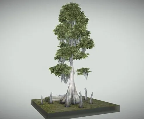 PBR Game 3D Models – Bald Cypress Tree