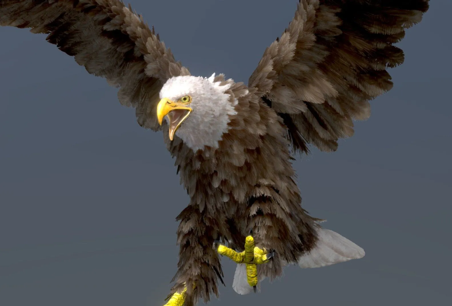 PBR Game 3D Models – Bald Eagle