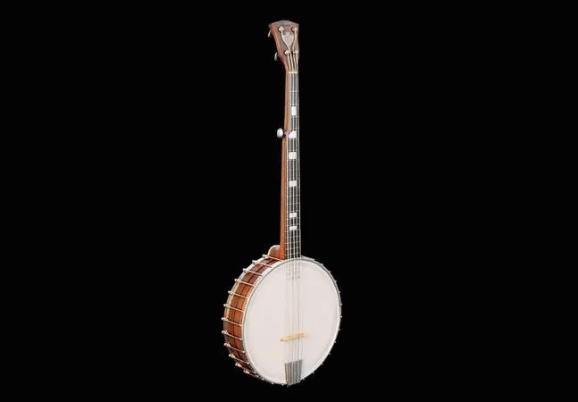 PBR Game 3D Models – Banjo