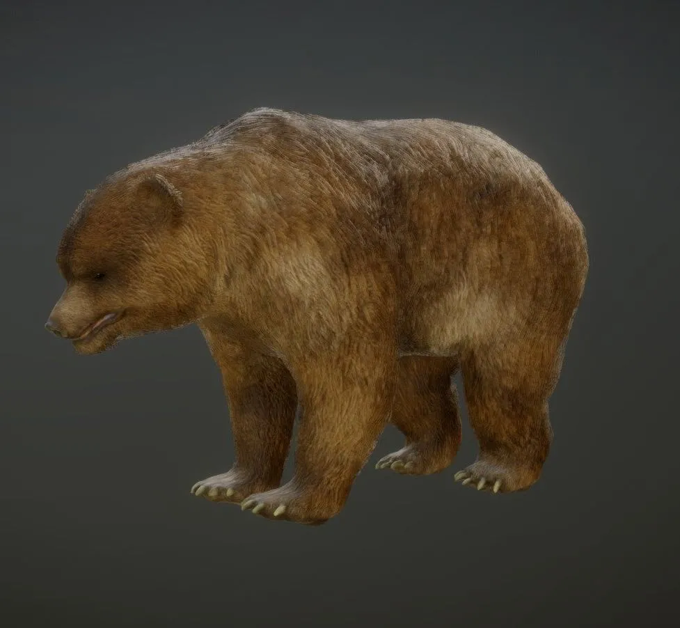 PBR Game 3D Models – Bear Animations