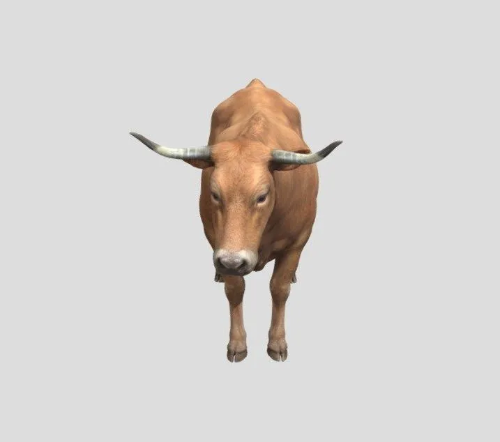 PBR Game 3D Models – Beef