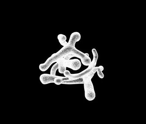 PBR Game 3D Models – Bifidobacterium Longum Bacteria