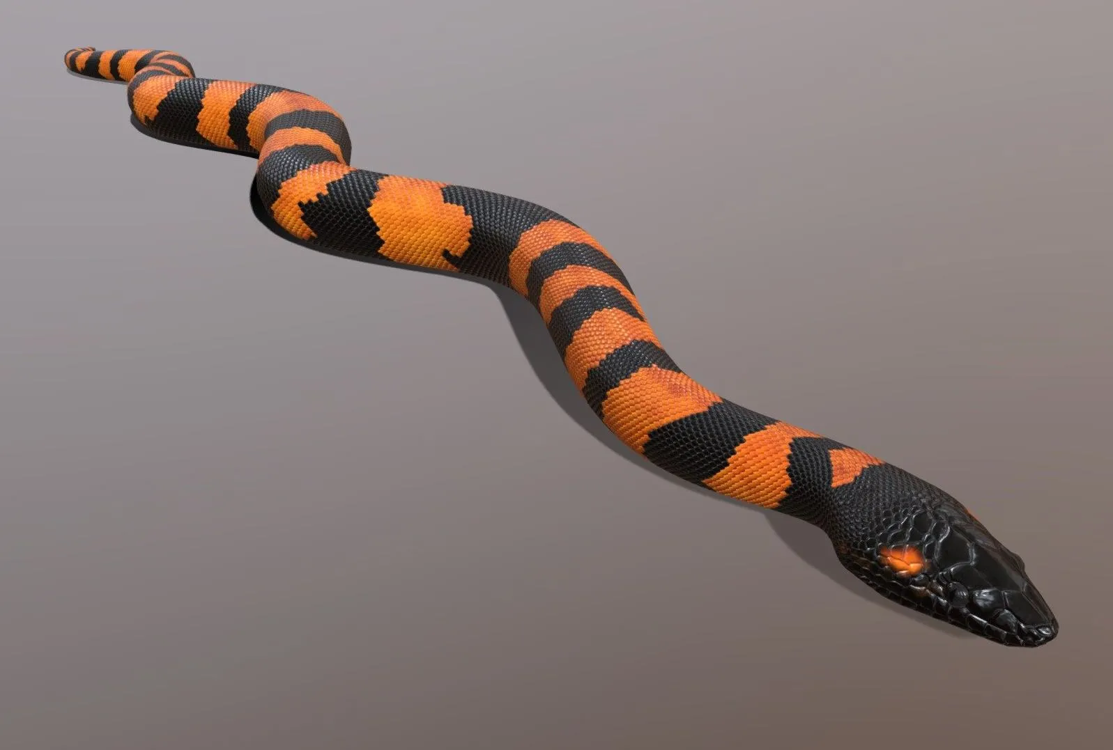 PBR Game 3D Models – Bismarck Ringed Python Animated