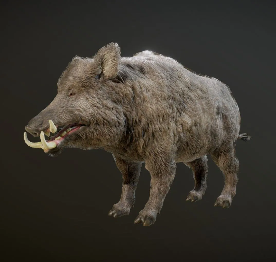 PBR Game 3D Models – Boar Animations