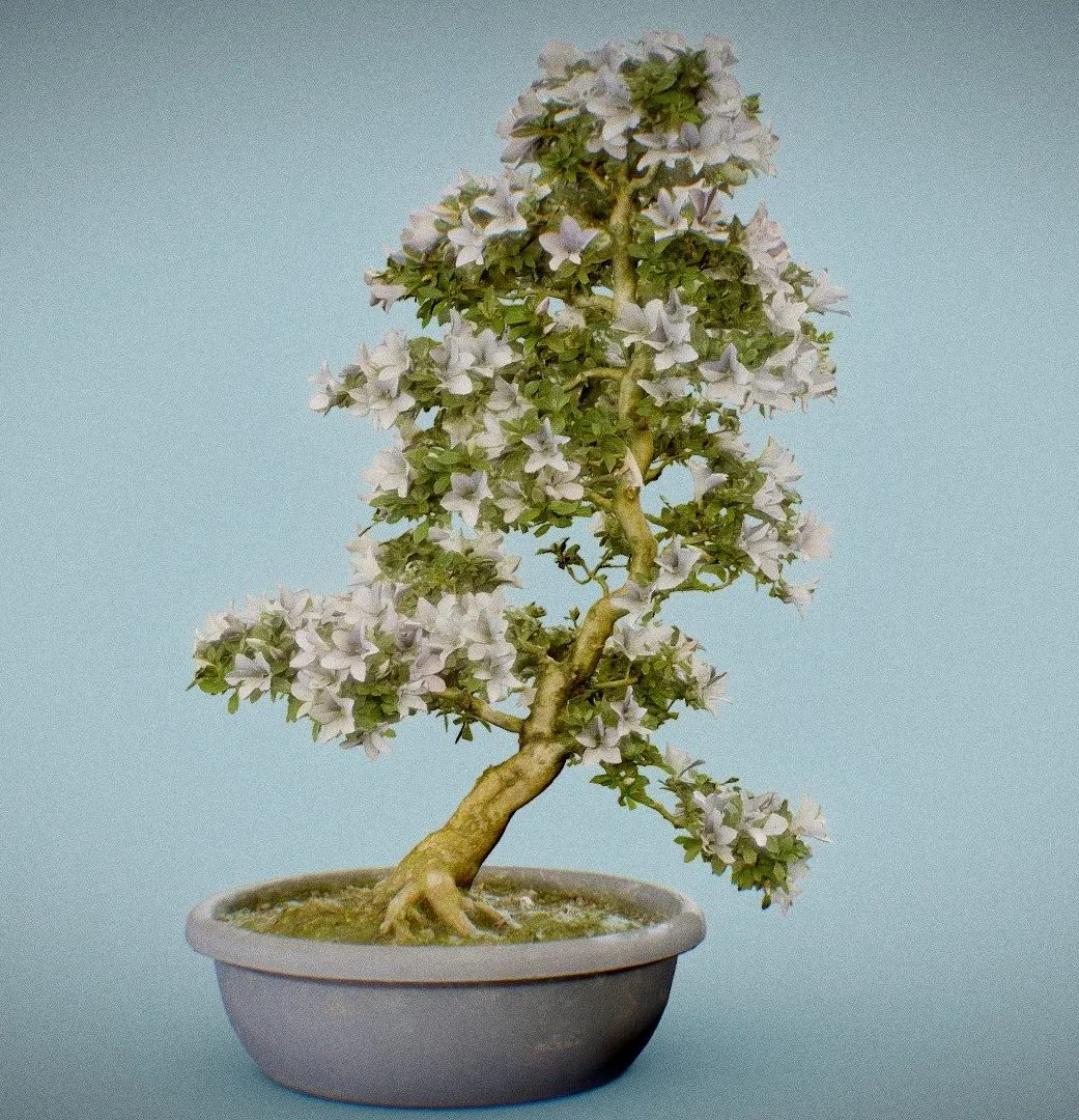 PBR Game 3D Models – Bonsai 3