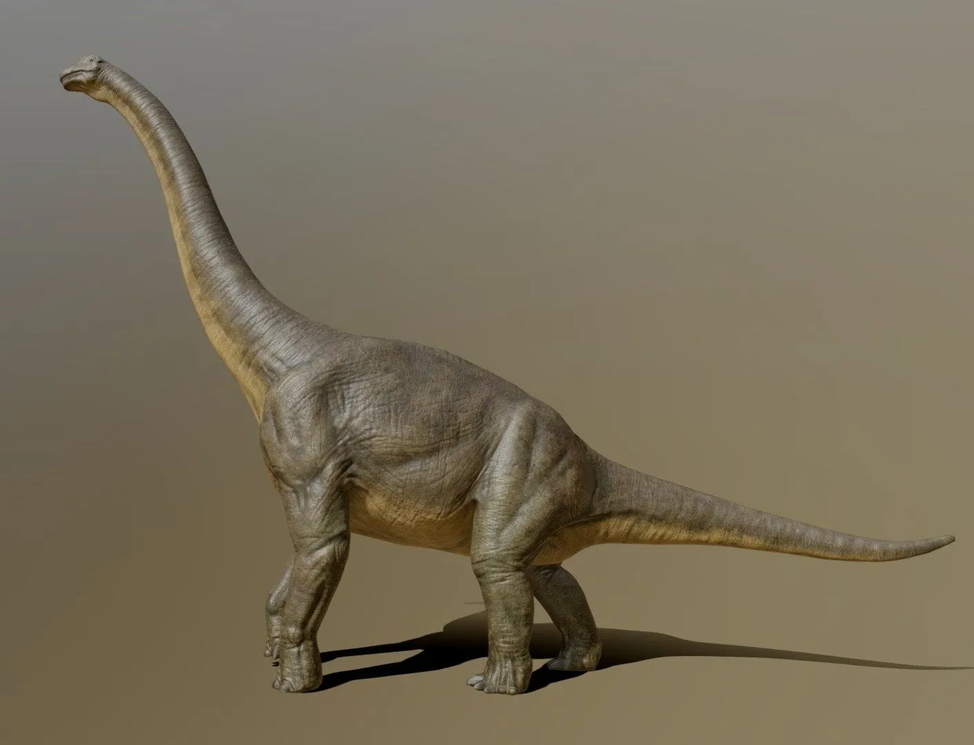 PBR Game 3D Models – Brachiosaurus (2)
