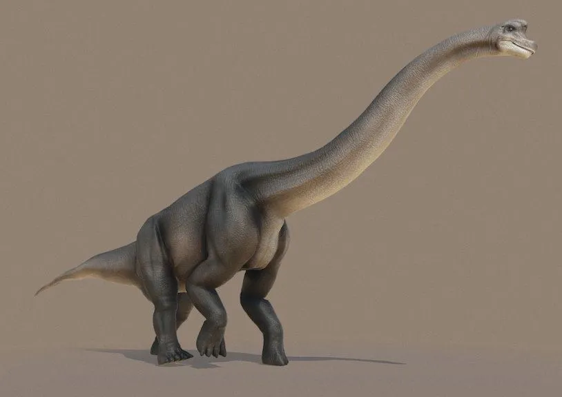 PBR Game 3D Models – Brachiosaurus Walk Cycle