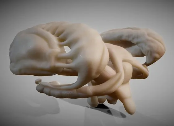 PBR Game 3D Models – Brain Nuclei