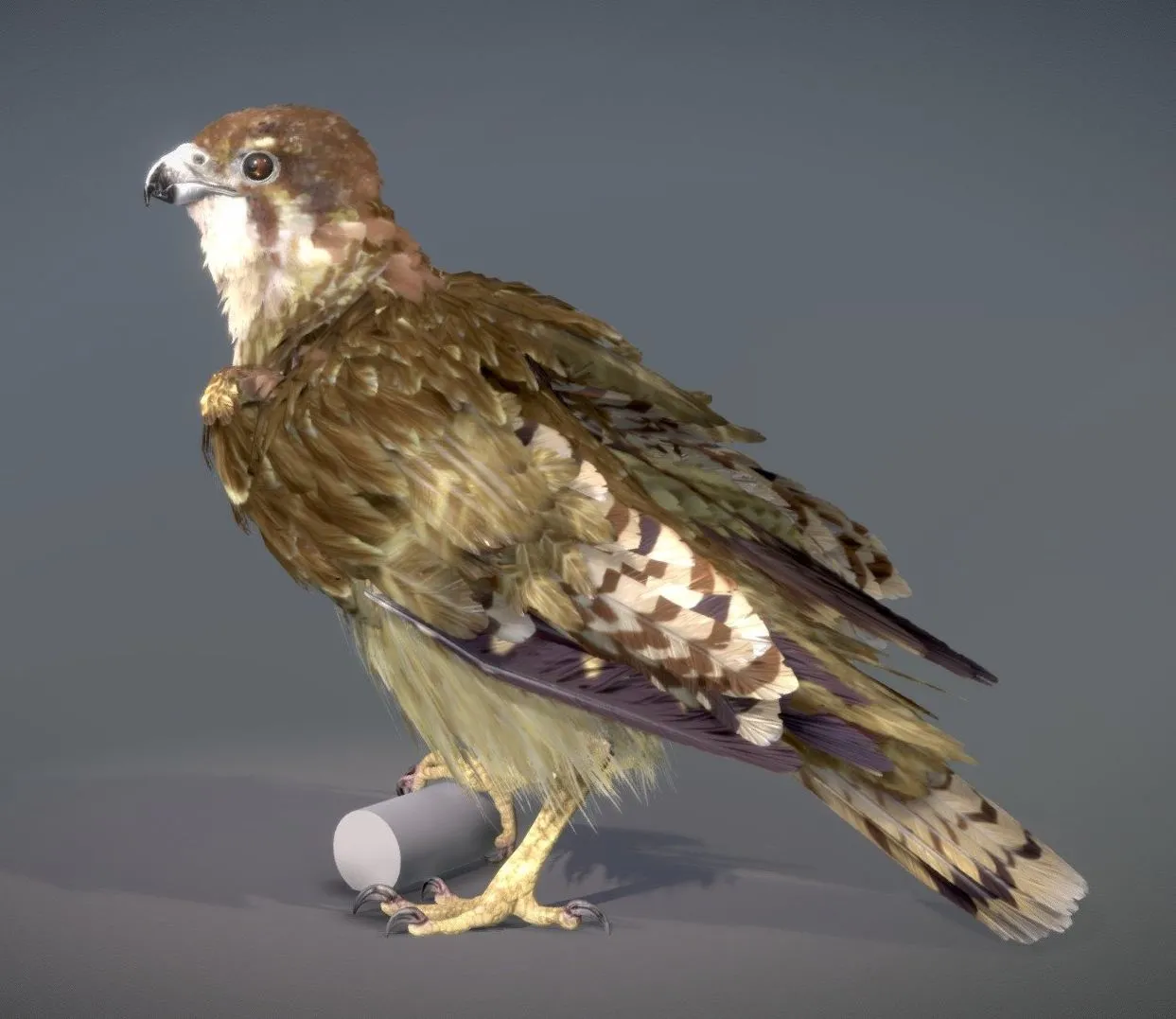 PBR Game 3D Models – Brown Falcon