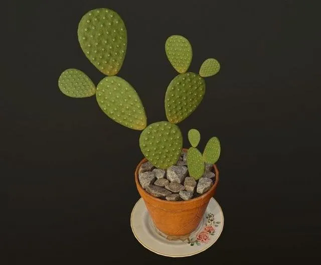 PBR Game 3D Models – Cactus in pot