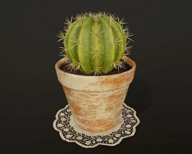 PBR Game 3D Models – Cactus v2 in pot