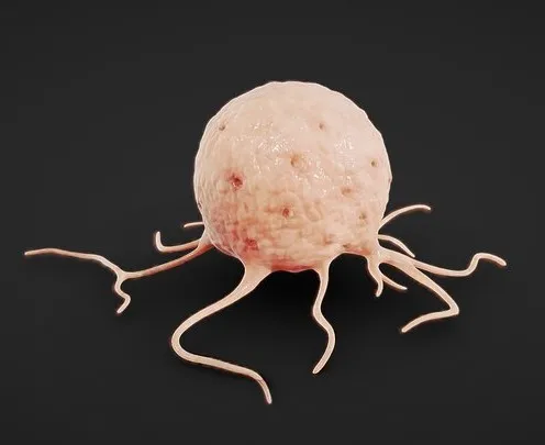 PBR Game 3D Models – Cancer Cell