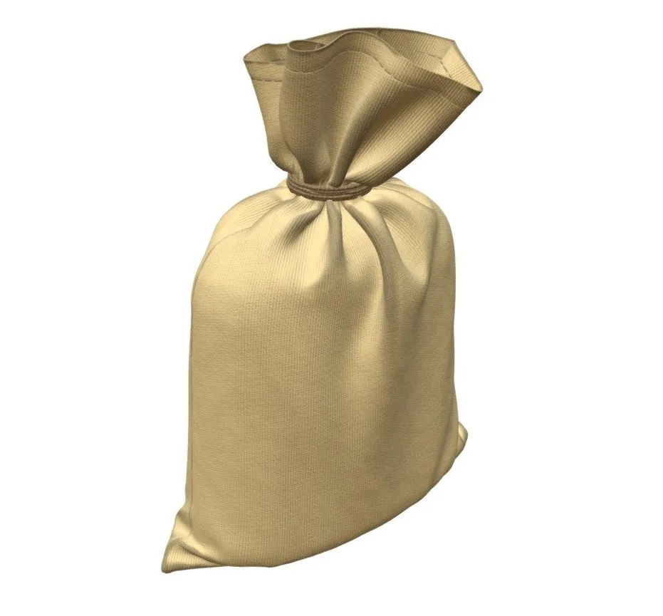 PBR Game 3D Models – Canvas Money Bag