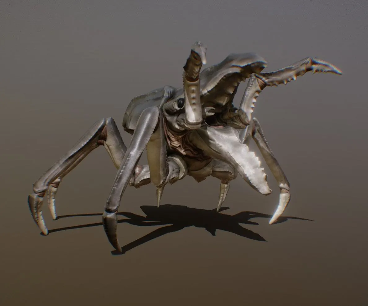 PBR Game 3D Models – Carcinoptera Animations