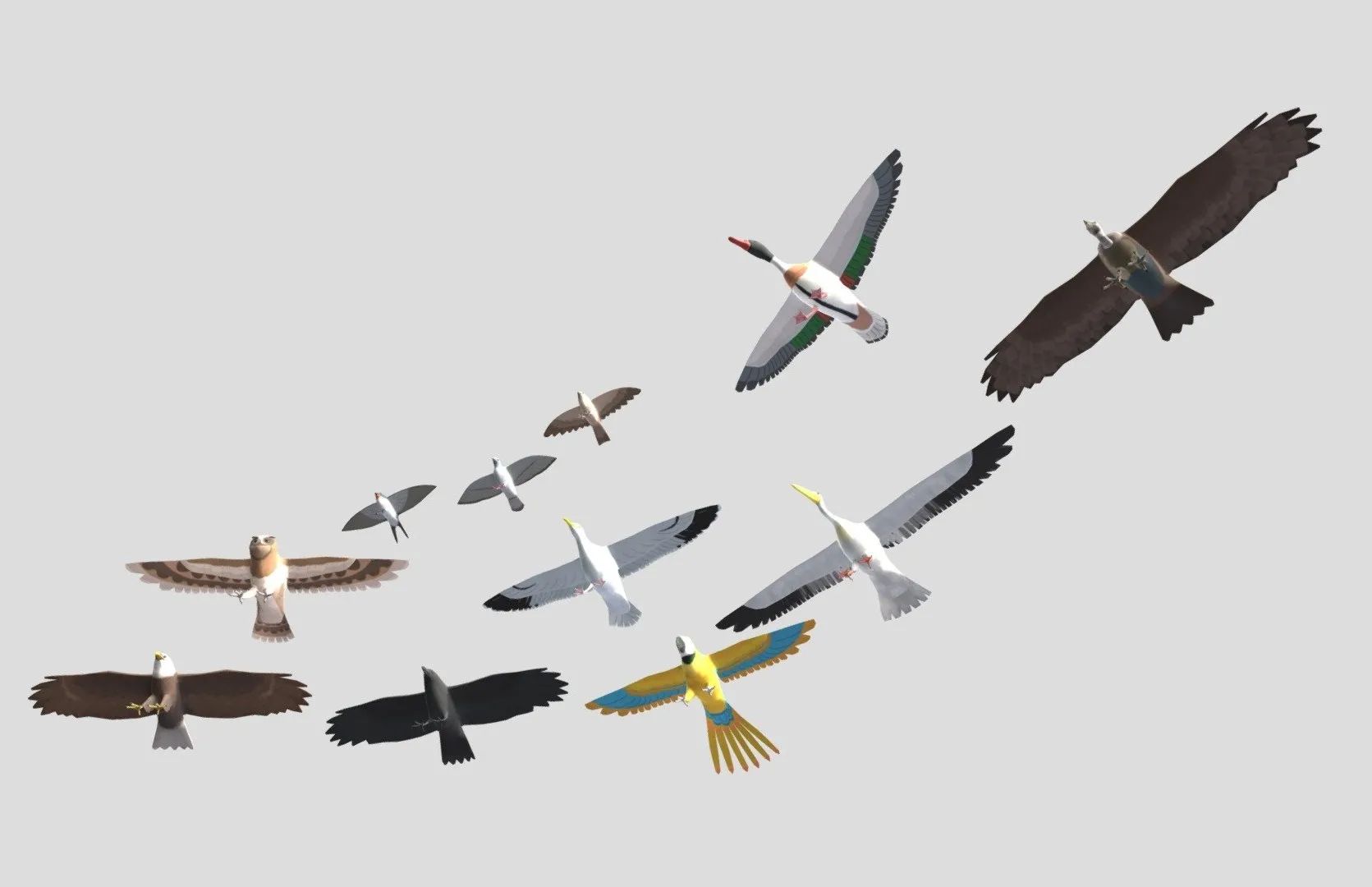 PBR Game 3D Models – Cartoon Birds Big Animation Pack