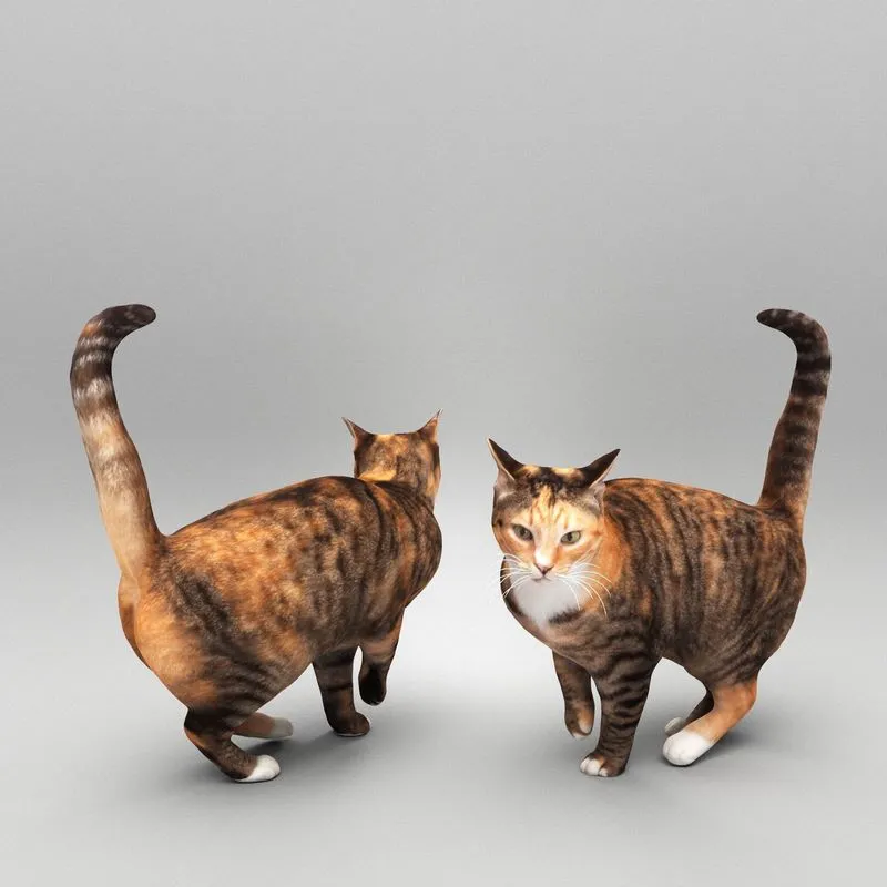 PBR Game 3D Models – Cat 25