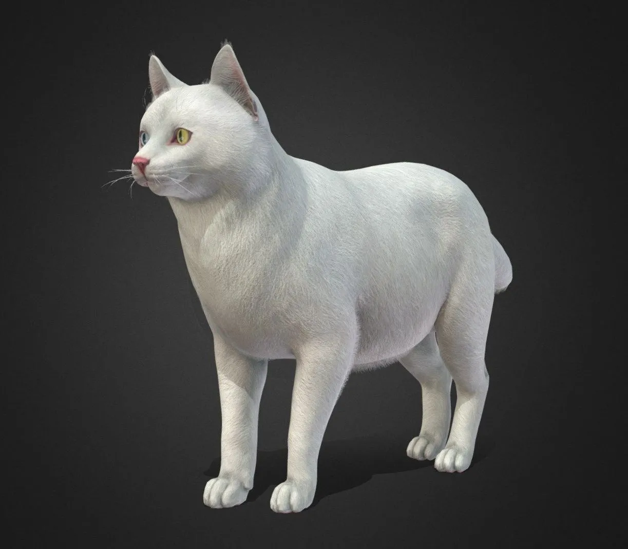 PBR Game 3D Models – Cat Fat