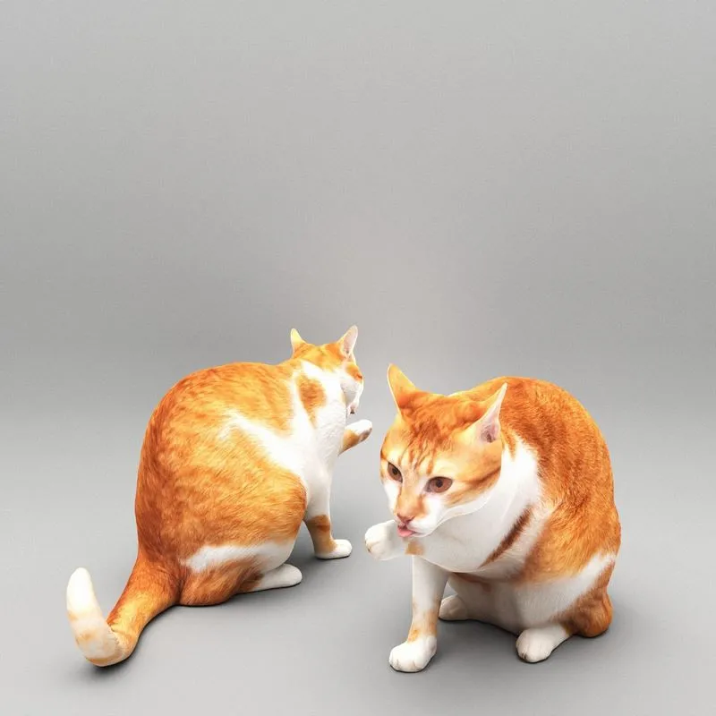 PBR Game 3D Models – Cat licking paw 45