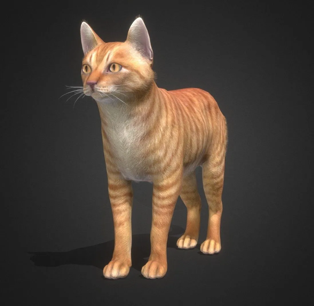 PBR Game 3D Models – Cat Simple